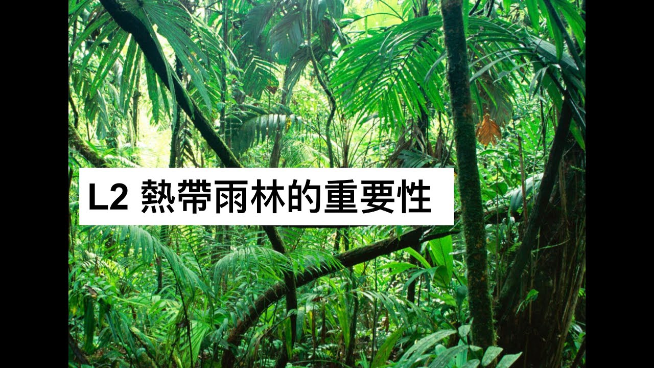 S5 GEOG L2 熱帶雨林的重要性