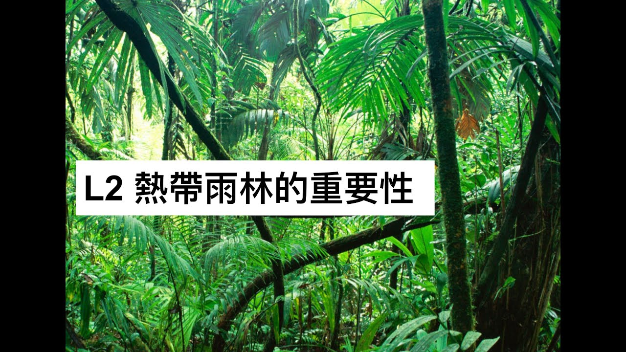 S5 GEOG L2 熱帶雨林的重要性
