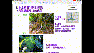 S5 GEOG L3 熱帶雨林的氣候及植被特點