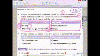 LT S2 Grammar 4D Conditional sentences about facts