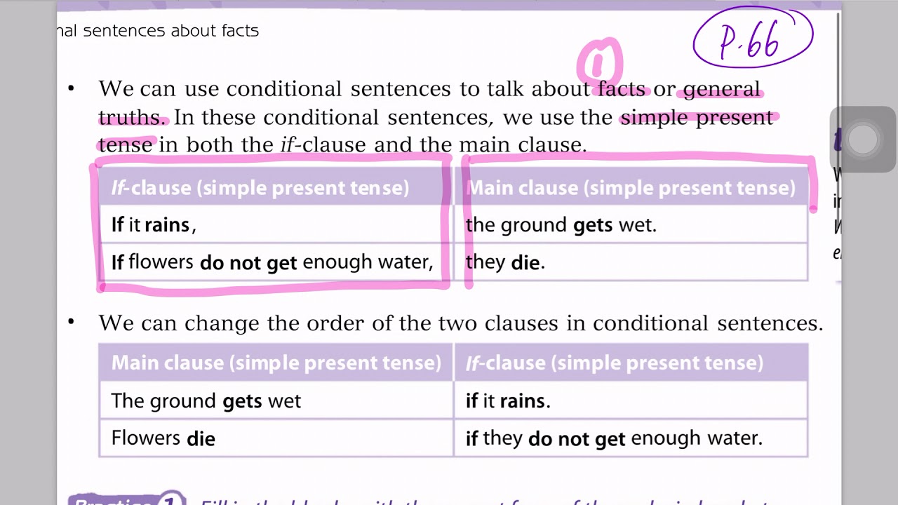 LT S2 Grammar 4D Conditional sentences about facts