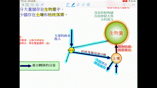 S5 GEOG L7 雨林生態系統的養分循環