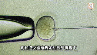 基因編輯嬰兒惹議　賀建奎非法行醫判囚3年