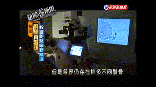 幹細胞治療的爭議