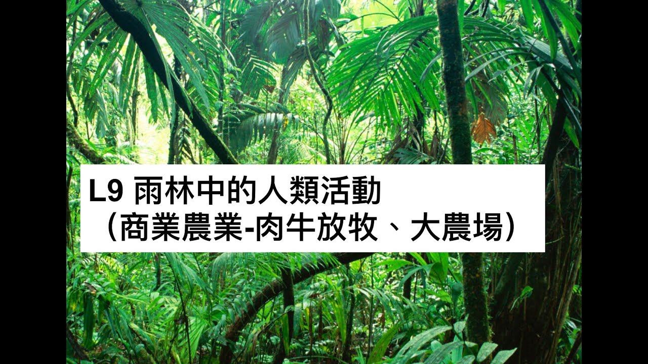 S5 GEOG L9 雨林中的人類活動：商業農業