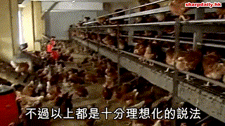 通識爽教室：基因改造食品