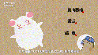 基因編輯治百病，訂製寶寶真好命？｜可能性調查署EP6