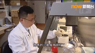 輔助生育