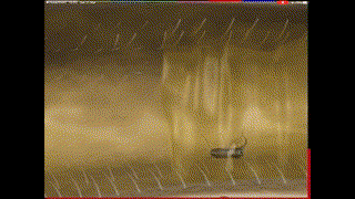 20200324 F2 IS Video class 21