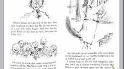 The Magic Finger Part 1A