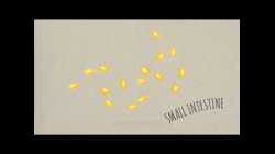 20200506 F2 IS Video class 27