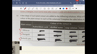 20200525 F2 IS Video Class 38 (Part B)