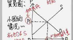 崇真書院中五級經濟科-小國關稅