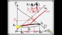 崇真書院中五級經濟科-小國配額
