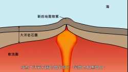預習影片：脊推和板拉概念