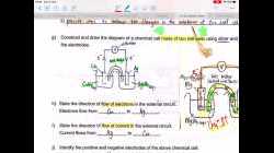 Salt bridge & Daniell cell