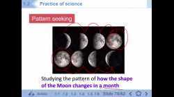 Classifying, pattern seeking & model building