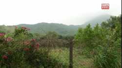 鏗鏘集：土地大辯論