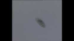 killing paramecium