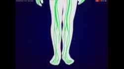 F2 IS 10.7 腦的功能及錯覺