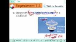 F2 IS 7.1 B Test of Gas (Part 2)