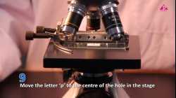 (New) Experiment 4.1 Using a microscope