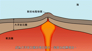 課堂影片：脊推與板拉