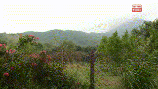 鏗鏘集：土地大辯論